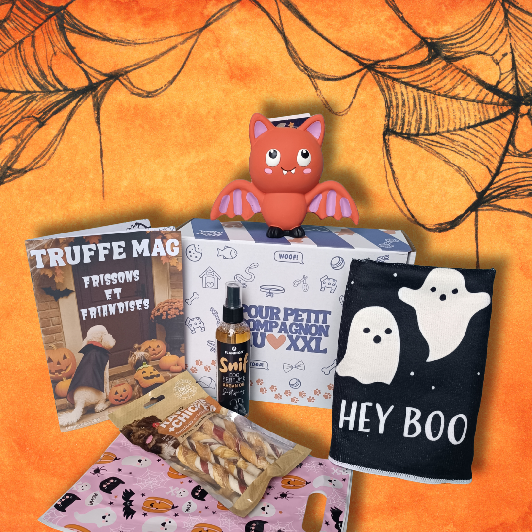 Box Octobre - Frissons et Friandises