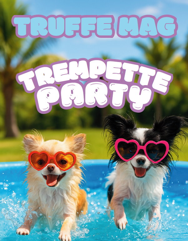 Box Juillet - Trempette Party