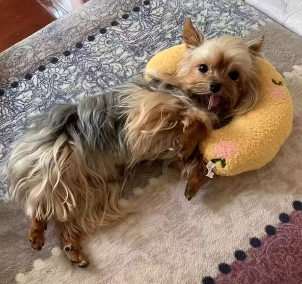 Box Novembre - Cocooning & Canapé