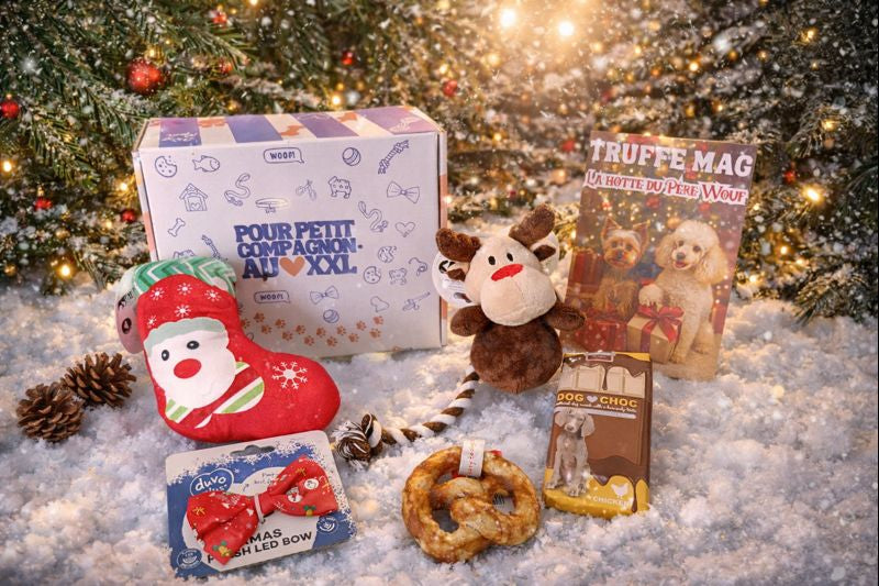 Décembre - La hotte du Père Wouf