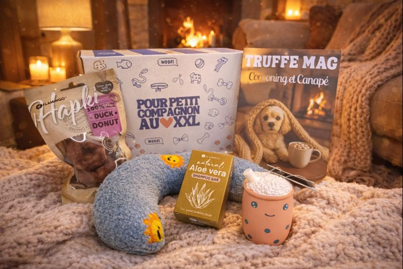 Novembre - Cocooning & Canapé