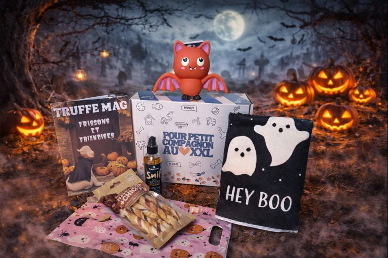 Octobre - Frissons et Friandises