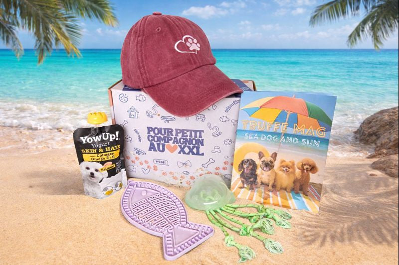 Août - Sea Dog and Sun