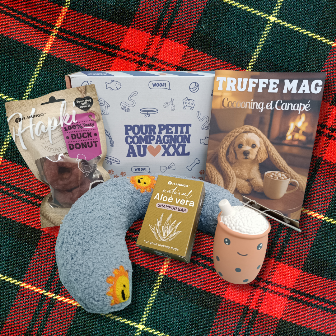 Box Novembre - Cocooning & Canapé